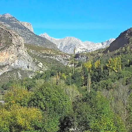 Sesue 3*